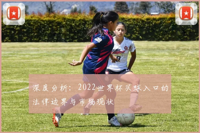 深度分析：2022世界杯买球入口的法律边界与市场现状