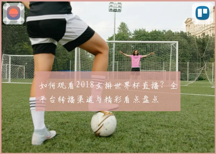 如何观看2018女排世界杯直播？全平台转播渠道与精彩看点盘点