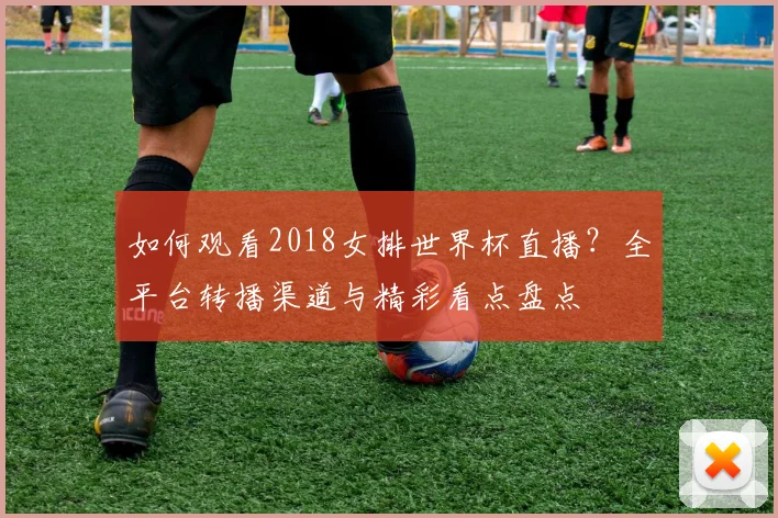 如何观看2018女排世界杯直播？全平台转播渠道与精彩看点盘点