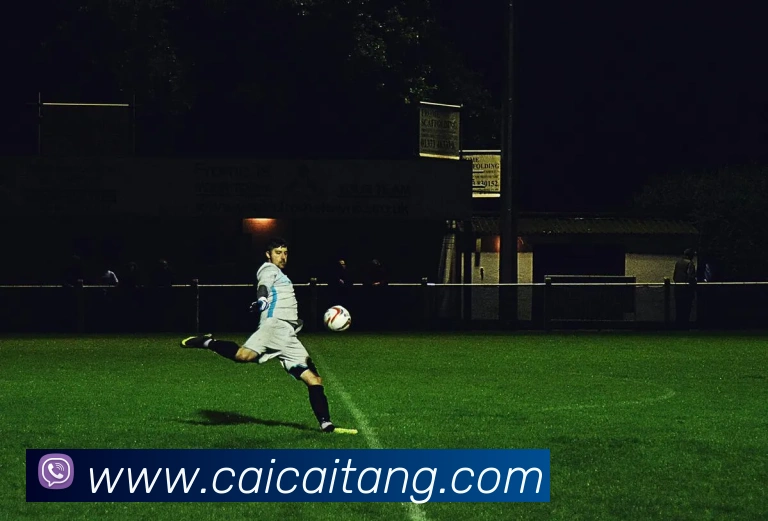 开云线上登录平台入口平台生态图